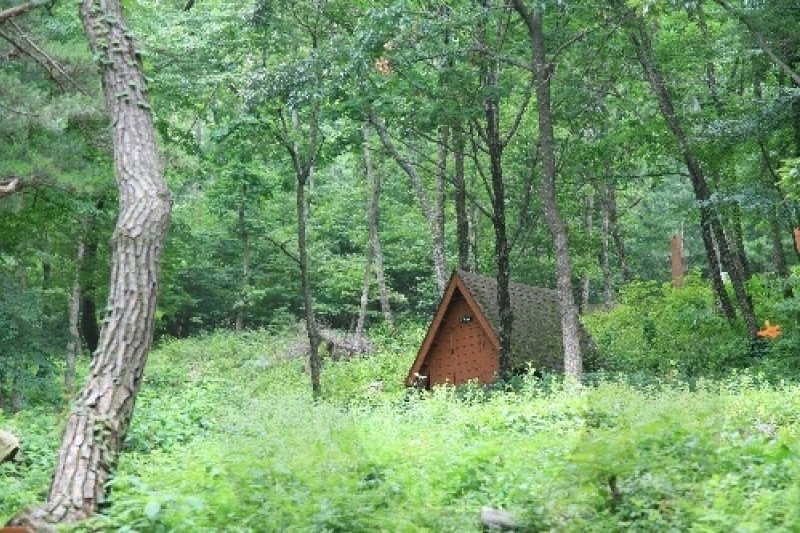 Tohamsan Recreational Forest (토함산자연휴양림) (1/11)