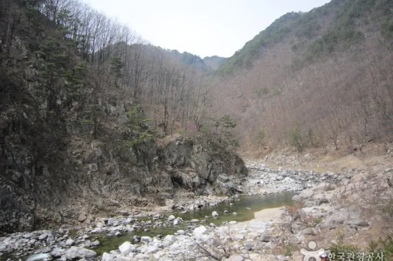 Wangpicheon Valley (왕피천계곡) (1/13)