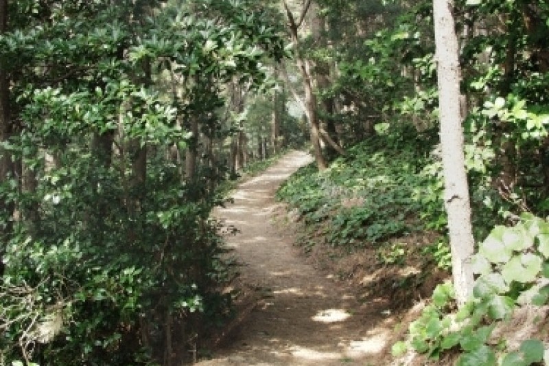 Haengnam Coastal Walking Path  (6/14)