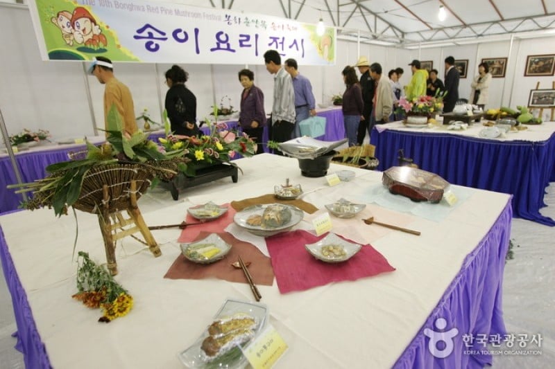Bonghwa Pine Mushroom Festival  (3/14)