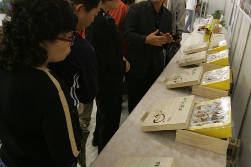 Bonghwa Pine Mushroom Festival  (4/14)
