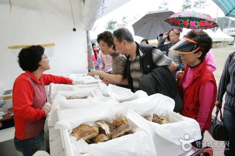 Bonghwa Pine Mushroom Festival  (6/14)