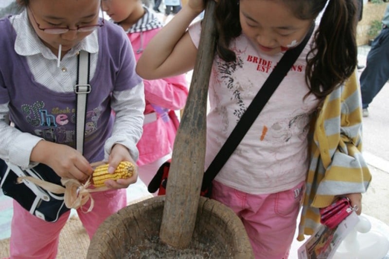Bonghwa Pine Mushroom Festival  (11/14)