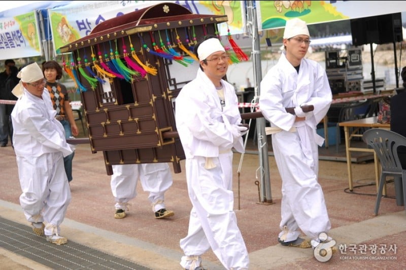 Bonghwa Pine Mushroom Festival  (13/14)