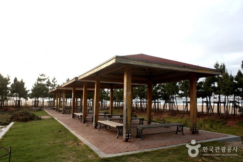 Daejin Beach  (4/32)