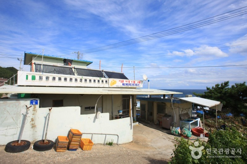 Daegae Wonjo Village  (14/15)