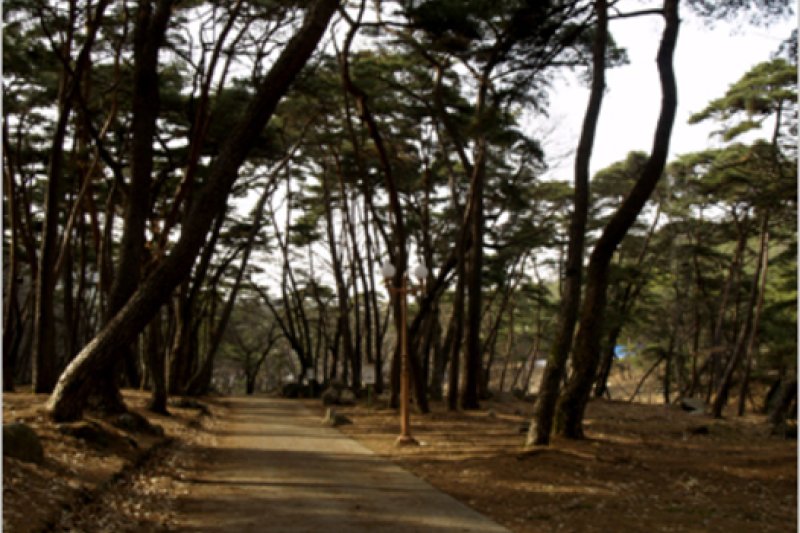 Eunhaesa Temple - Yeongcheon  (2/4)