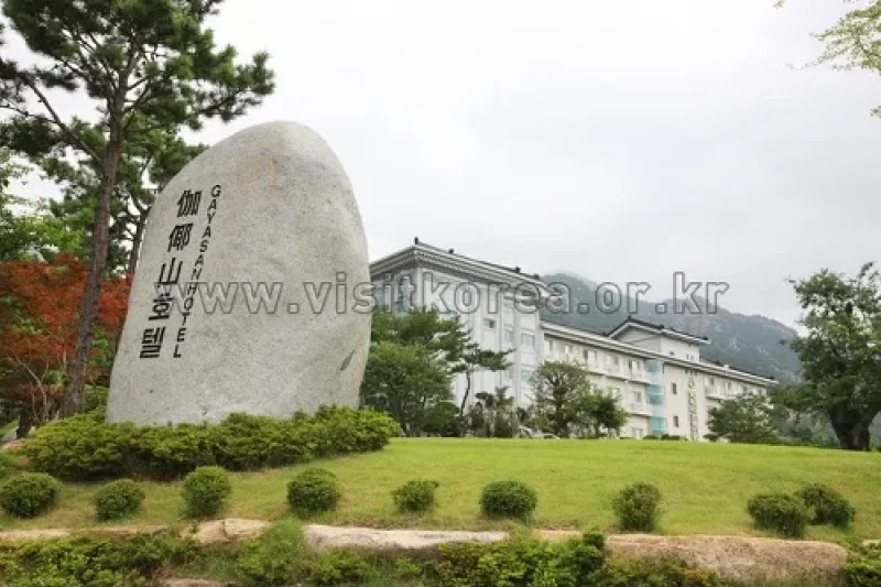 Gayasan National Tourist Hotel  (13/18)