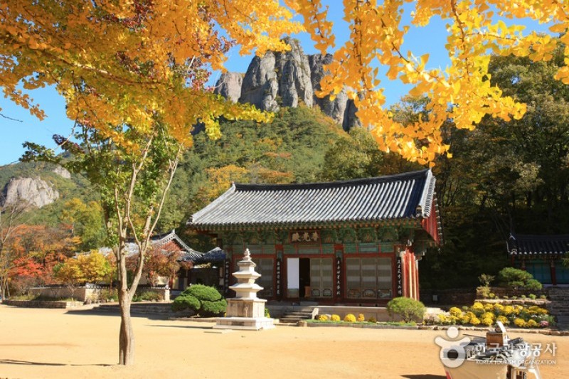 Daejeonsa Temple  (5/14)