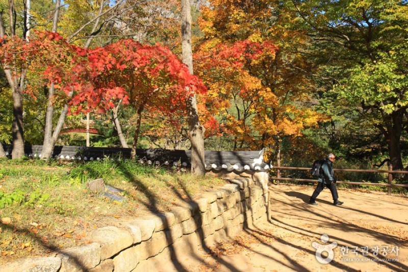 Daejeonsa Temple  (13/14)