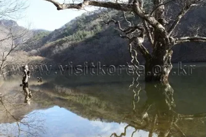 Cheongsong Eoreumgol Valley  (2/7)