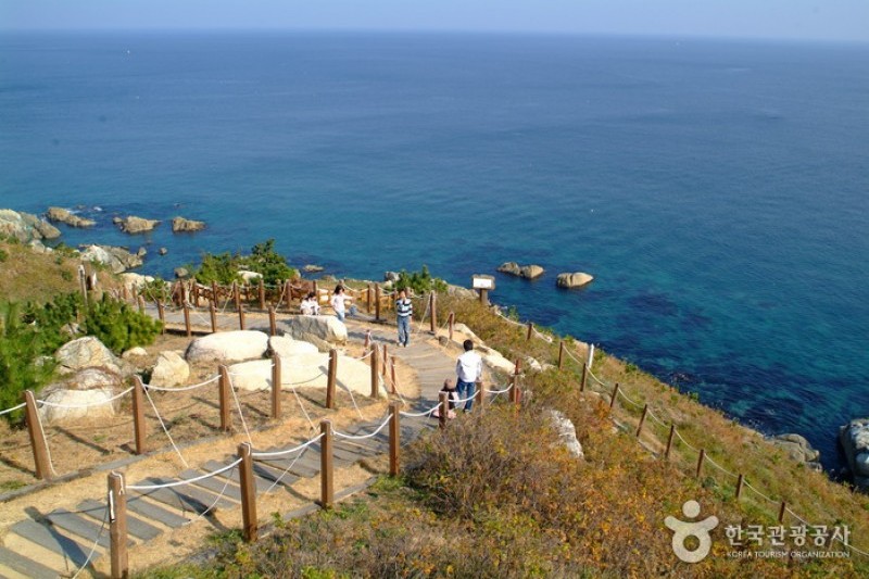 Yeongdeok Sunrise Park  (1/14)