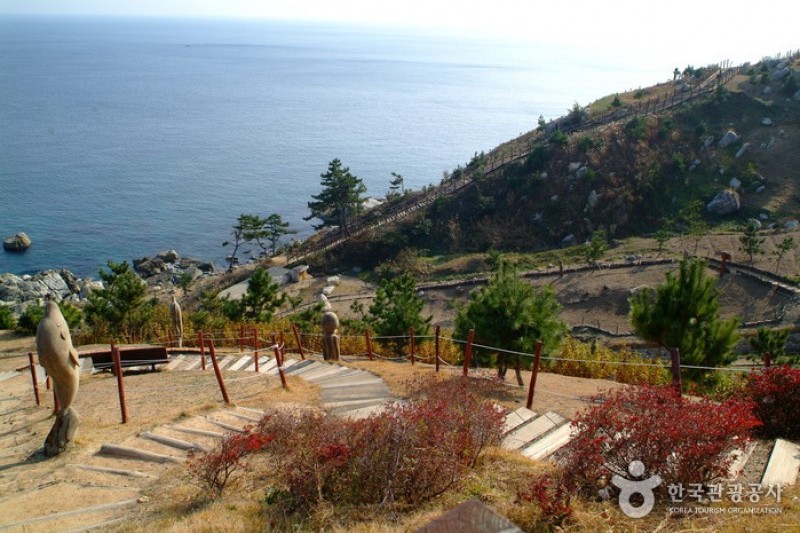 Yeongdeok Sunrise Park  (3/14)