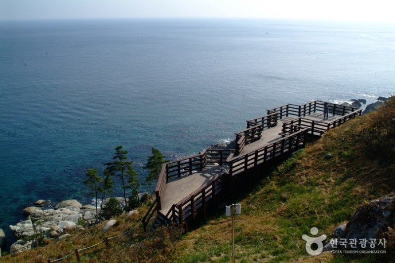 Yeongdeok Sunrise Park  (4/14)