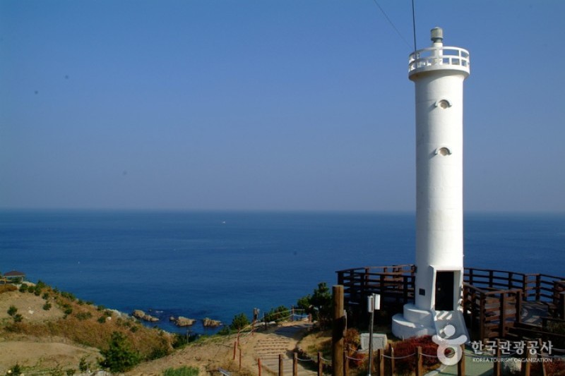 Yeongdeok Sunrise Park  (5/14)