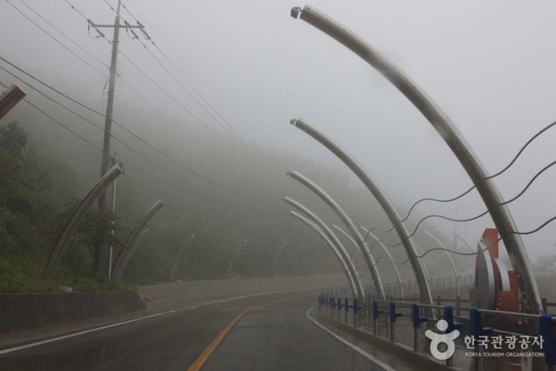 Yeongdeok Sunrise Park  (7/14)