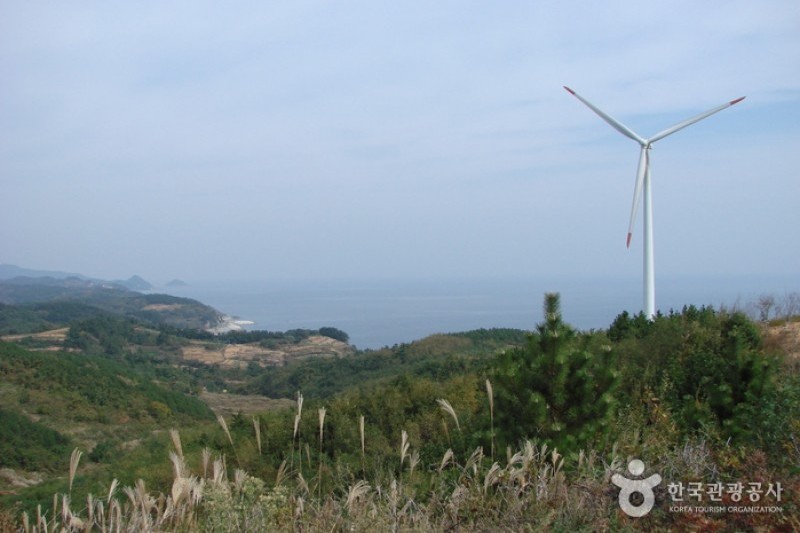 Yeongdeok Sunrise Park  (9/14)
