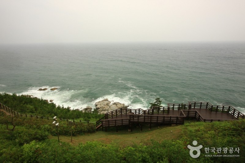 Yeongdeok Sunrise Park  (11/14)