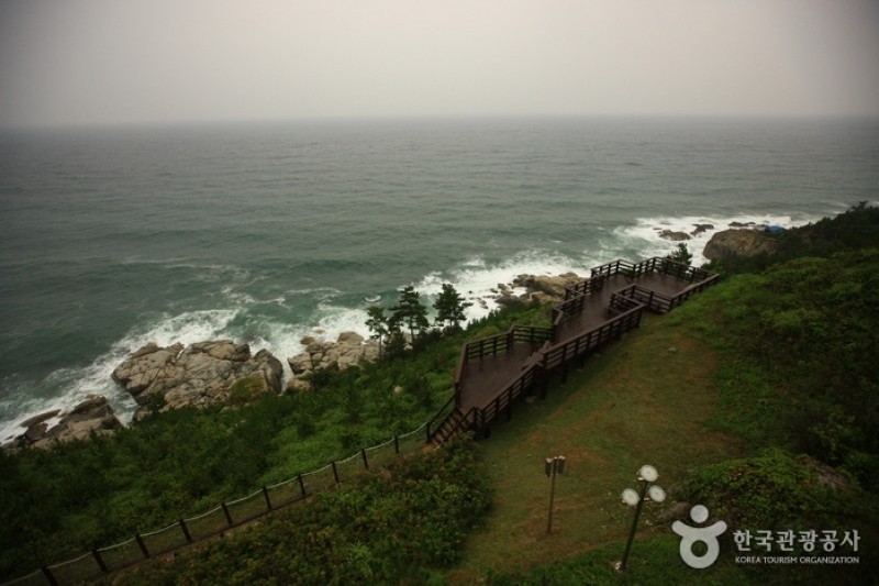Yeongdeok Sunrise Park  (13/14)