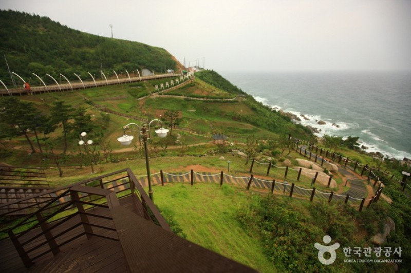 Yeongdeok Sunrise Park  (14/14)