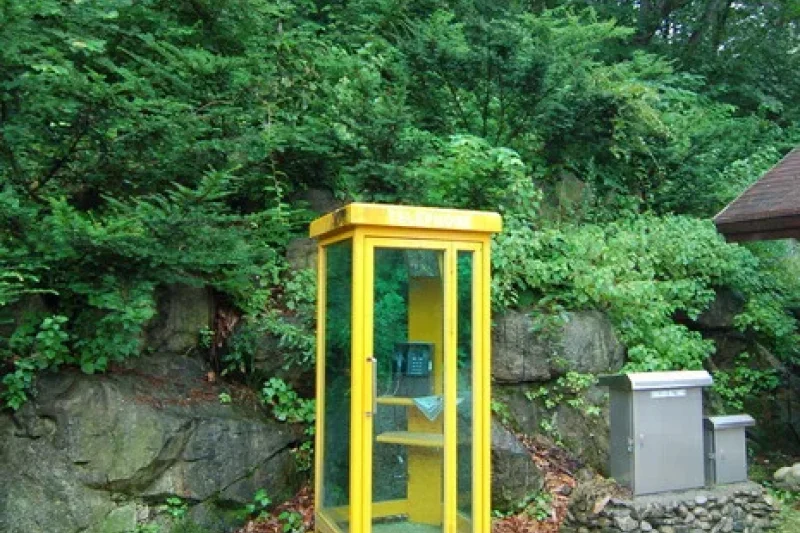 Sobaeksan Oknyeobong Recreational Forest (소백산 옥녀봉자연휴양림) (1/36)