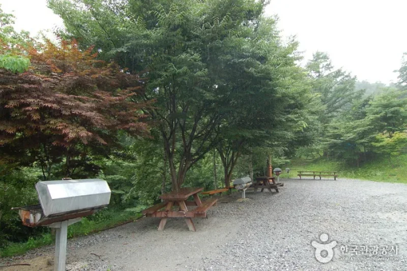 Sobaeksan Oknyeobong Recreational Forest (소백산 옥녀봉자연휴양림) (2/36)