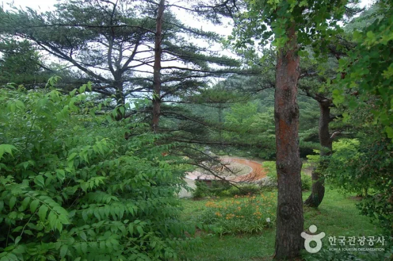 Sobaeksan Oknyeobong Recreational Forest (소백산 옥녀봉자연휴양림) (9/36)