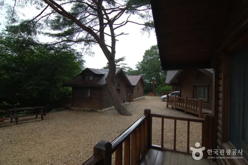 Sobaeksan Oknyeobong Recreational Forest (소백산 옥녀봉자연휴양림) (10/36)