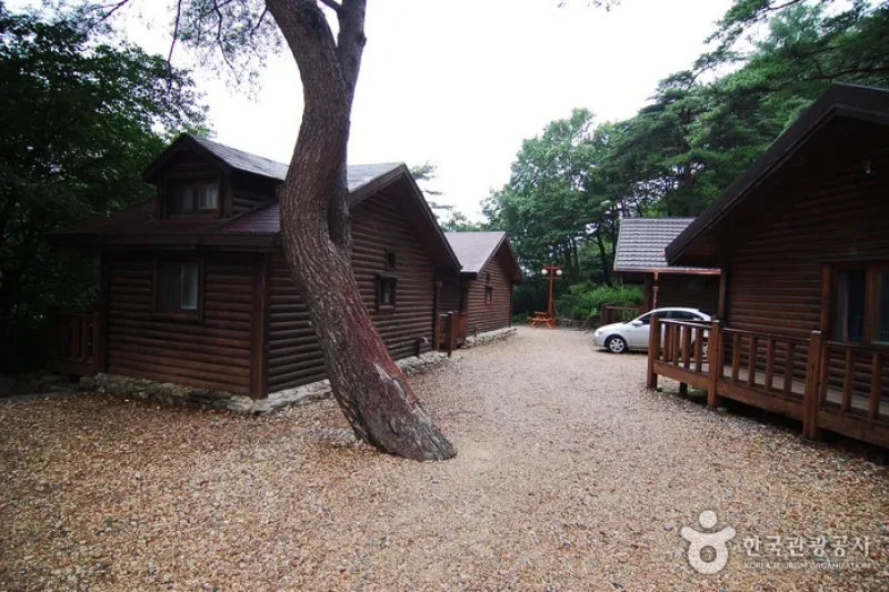 Sobaeksan Oknyeobong Recreational Forest (소백산 옥녀봉자연휴양림) (12/36)