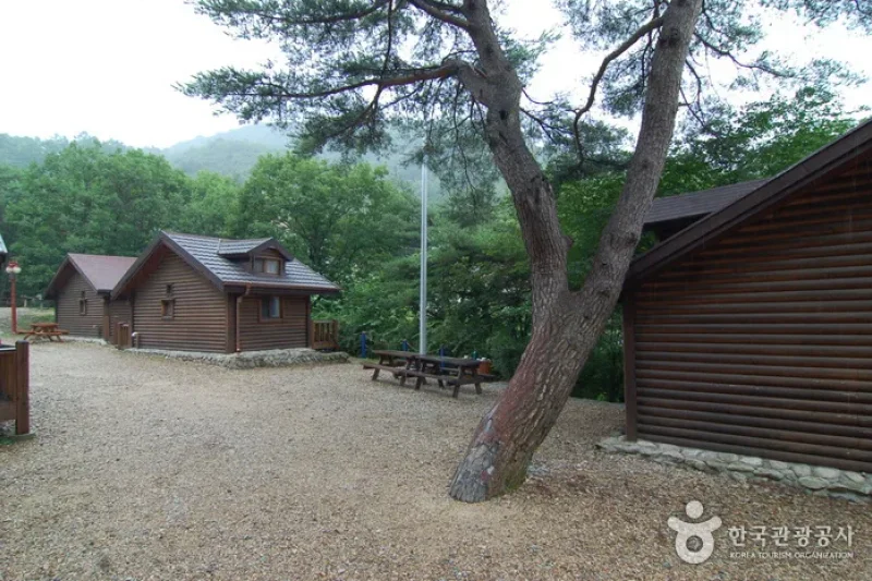 Sobaeksan Oknyeobong Recreational Forest (소백산 옥녀봉자연휴양림) (18/36)
