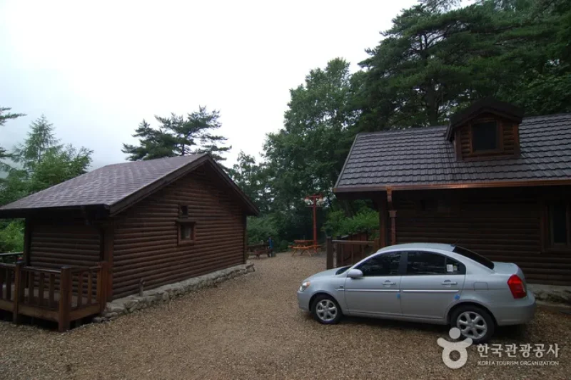 Sobaeksan Oknyeobong Recreational Forest (소백산 옥녀봉자연휴양림) (19/36)