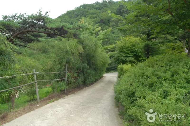 Sobaeksan Oknyeobong Recreational Forest (소백산 옥녀봉자연휴양림) (22/36)