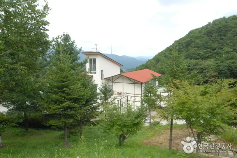 Sobaeksan Oknyeobong Recreational Forest (소백산 옥녀봉자연휴양림) (23/36)
