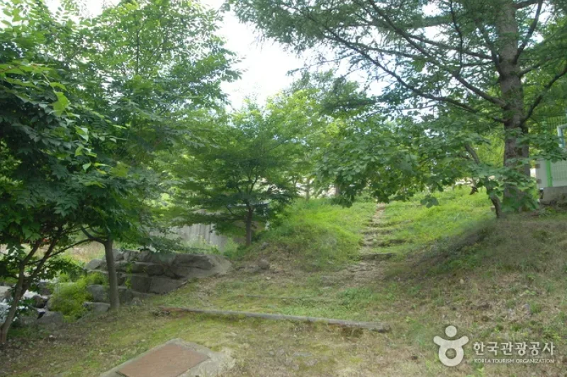 Sobaeksan Oknyeobong Recreational Forest (소백산 옥녀봉자연휴양림) (24/36)