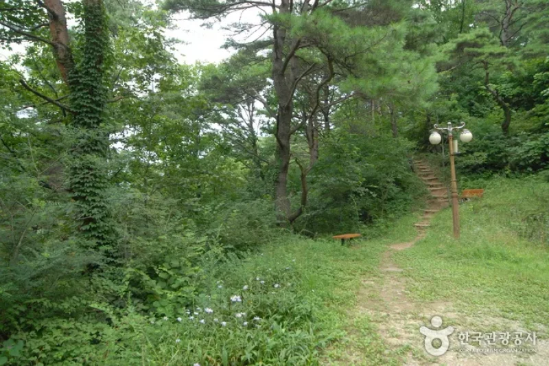 Sobaeksan Oknyeobong Recreational Forest (소백산 옥녀봉자연휴양림) (26/36)