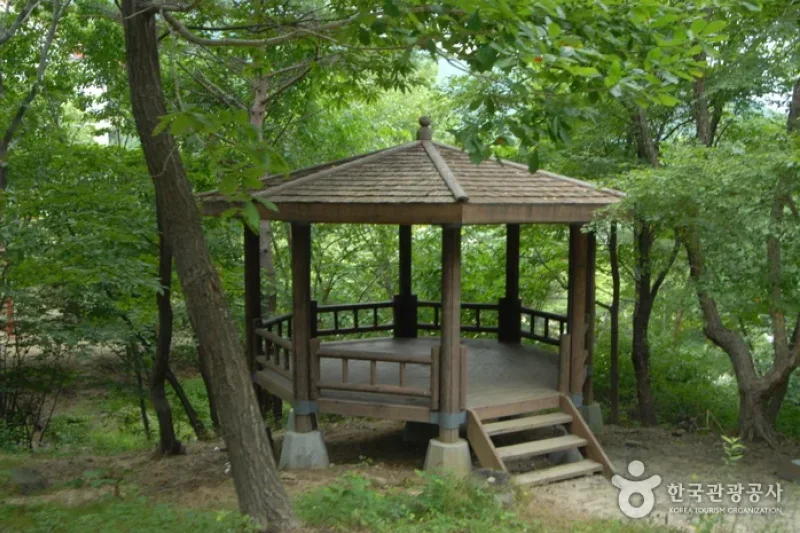 Sobaeksan Oknyeobong Recreational Forest (소백산 옥녀봉자연휴양림) (27/36)