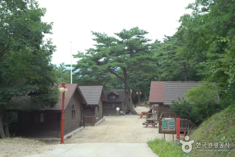 Sobaeksan Oknyeobong Recreational Forest (소백산 옥녀봉자연휴양림) (28/36)