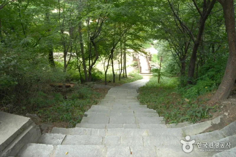 Sobaeksan Oknyeobong Recreational Forest (소백산 옥녀봉자연휴양림) (29/36)