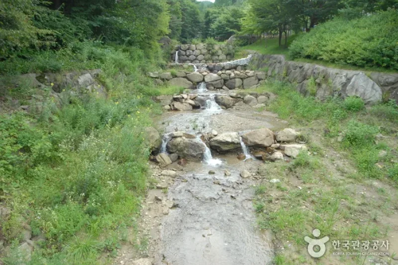 Sobaeksan Oknyeobong Recreational Forest (소백산 옥녀봉자연휴양림) (30/36)