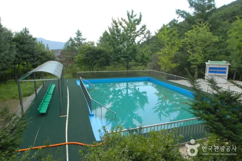 Sobaeksan Oknyeobong Recreational Forest (소백산 옥녀봉자연휴양림) (34/36)