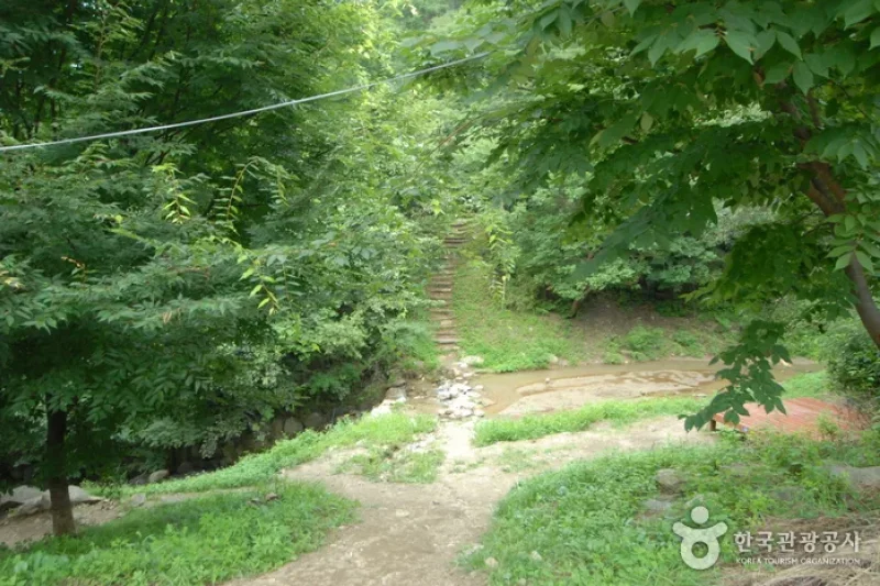 Sobaeksan Oknyeobong Recreational Forest (소백산 옥녀봉자연휴양림) (36/36)