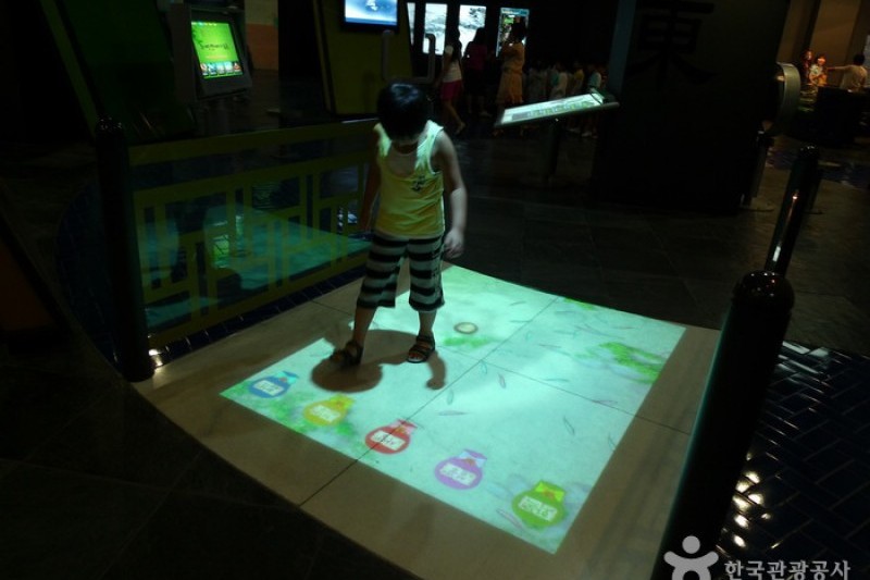 The Traditional Culture Contents Museum  (6/26)