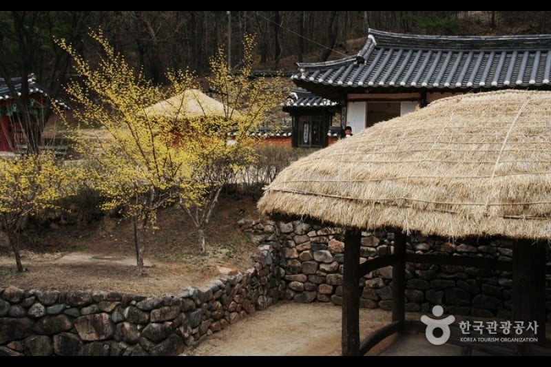 The Traditional Culture Contents Museum  (24/26)
