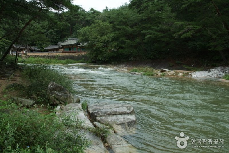 Seokcheon Valley (석천계곡) (1/5)