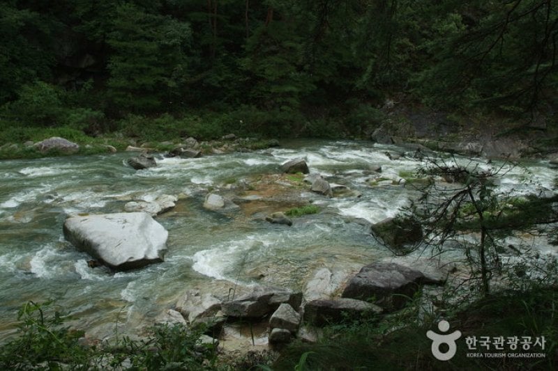 Seokcheon Valley (석천계곡) (5/5)