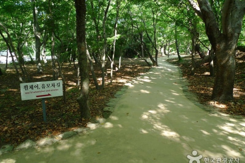 Bulguksa Temple [UNESCO World Heritage]  (3/41)