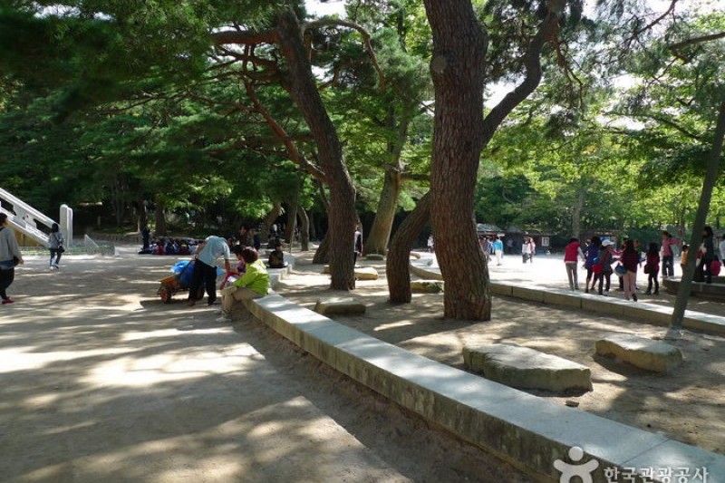 Bulguksa Temple [UNESCO World Heritage]  (12/41)