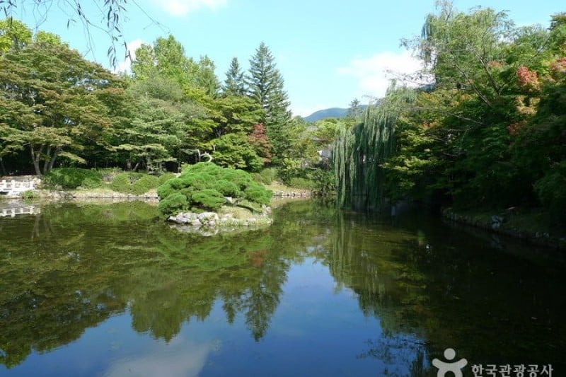 Bulguksa Temple [UNESCO World Heritage]  (13/41)