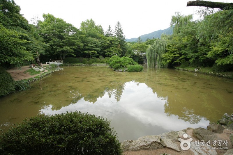 Bulguksa Temple [UNESCO World Heritage]  (17/41)