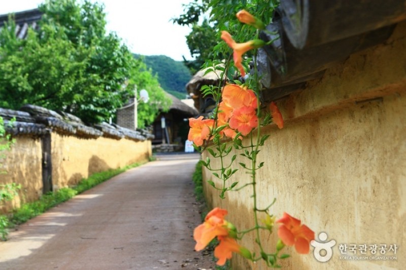 Andong Hahoe Folk Village [UNESCO World Heritage]  (2/83)